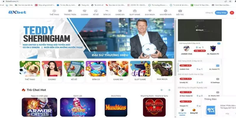 đối tác của nhà cái 8XBET